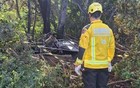 巴西热气球坠毁致8死：3人相拥而亡，13人奇迹生还