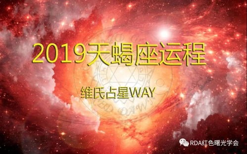 星座运势分析明星