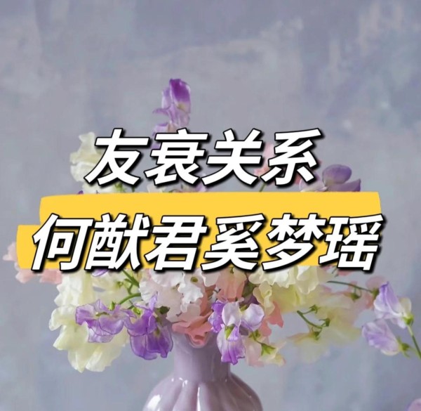 姐弟恋的星辰密码宿命般的吸引