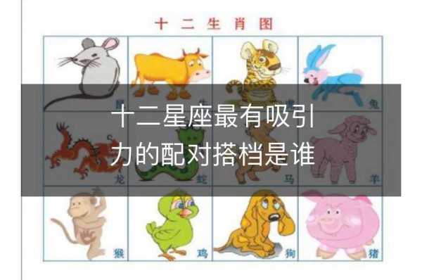 十二星座最有吸引力的配对搭档是谁？