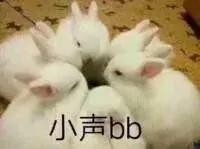 饭圈用语大盘点，不看答案你知道什么意思吗