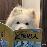 人类行为观察