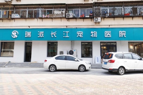 瑞派明星医生：放弃继承家族产业，深耕小动物眼专科诊疗