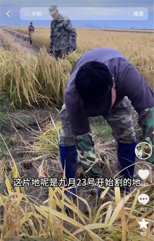 草根歌手的奋斗史：从田间地头到音乐舞台的真实故事
