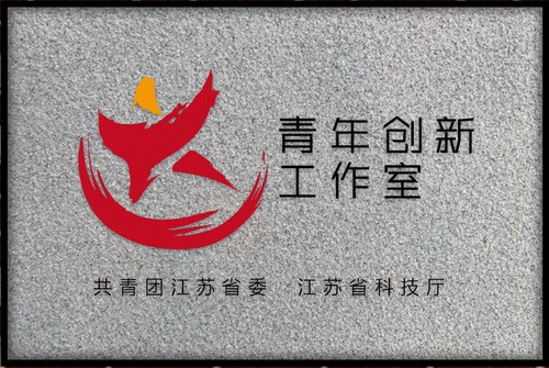 紫台悟空卫星运行及数据分析青年创新工作室获团省委优秀青年创新工作室表彰