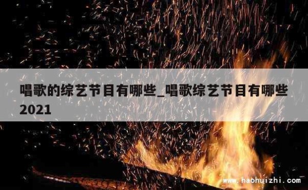 唱歌的综艺节目有哪些_唱歌综艺节目有哪些2021 第1张