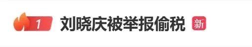 刘晓庆小微公司被扒：无员工、零社保，开42张发票疑偷税330万