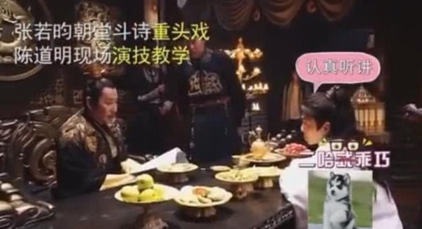 陈道明拍戏现场演技教学，张若昀认真听讲，乖巧的二哈式坐姿亮了