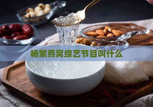 杨紫燕窝综艺节目叫什么