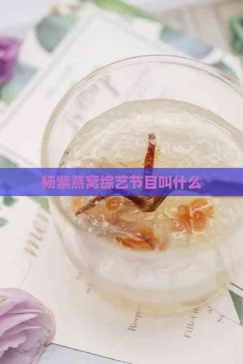 杨紫燕窝综艺节目叫什么