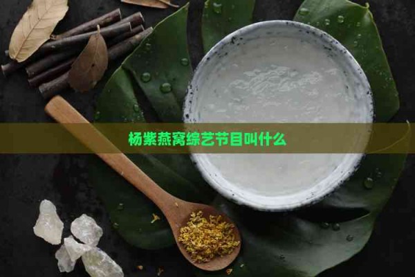 杨紫燕窝综艺节目叫什么