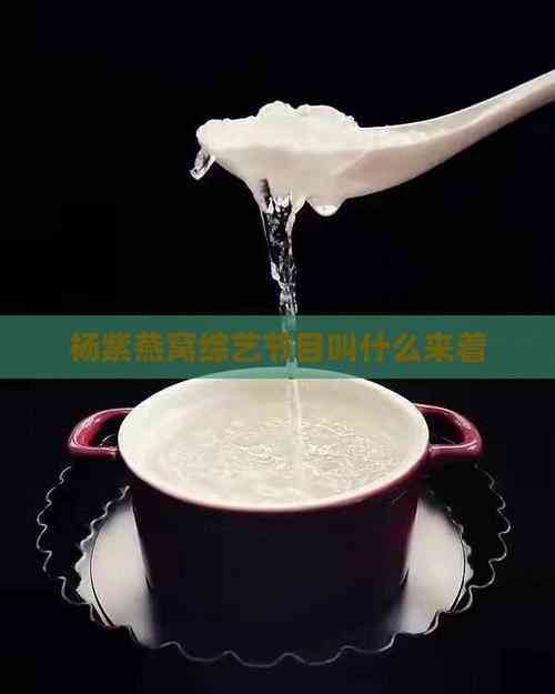杨紫燕窝综艺节目叫什么来着