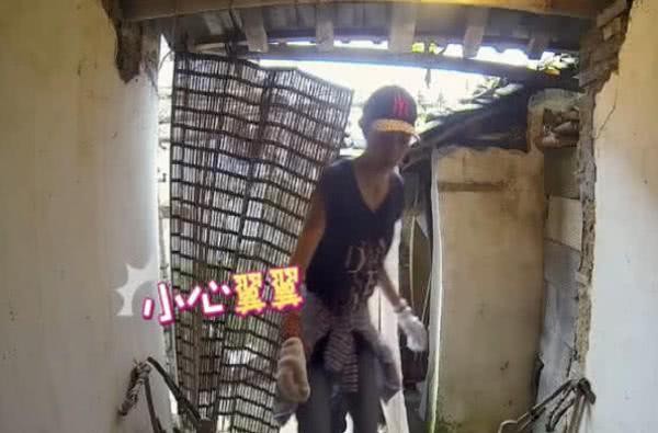 杨紫参加综艺节目，见到农村厕所，哈哈大笑，下意识成亮点
