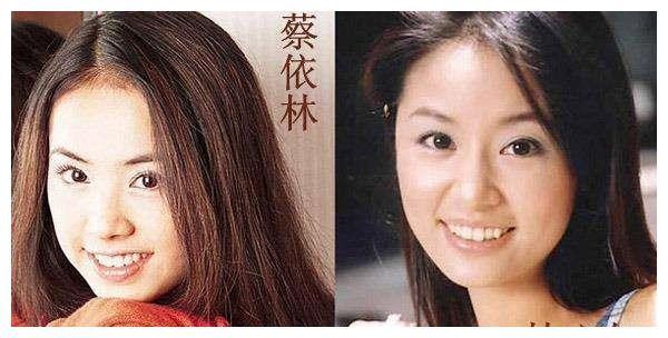 娱乐圈相似度极高的“撞脸”女星, 最后一对真心不敢恭维!
