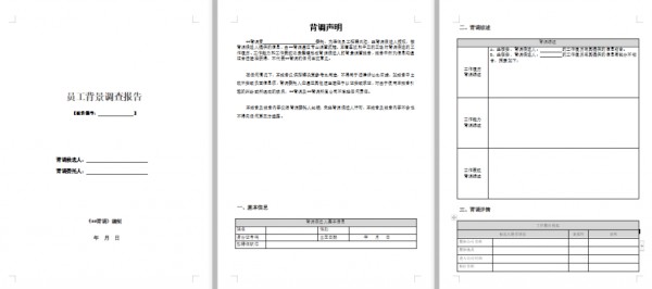 背调公司背景调查报告(样表)免费下载