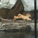 坚持出奇迹