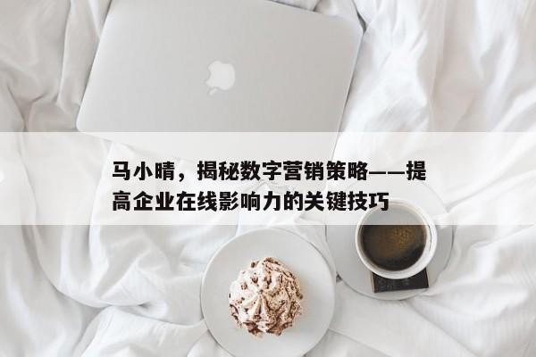 马小晴，揭秘数字营销策略——提高企业在线影响力的关键技巧