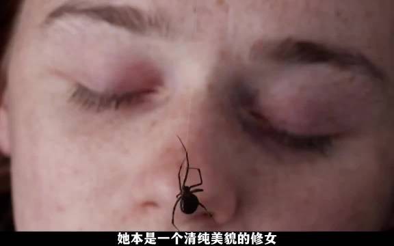 神父误闯神秘小岛,却遭遇难以想象的危险