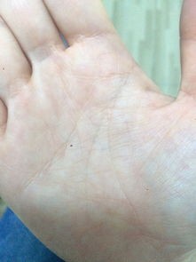 注定是明星的手相女孩