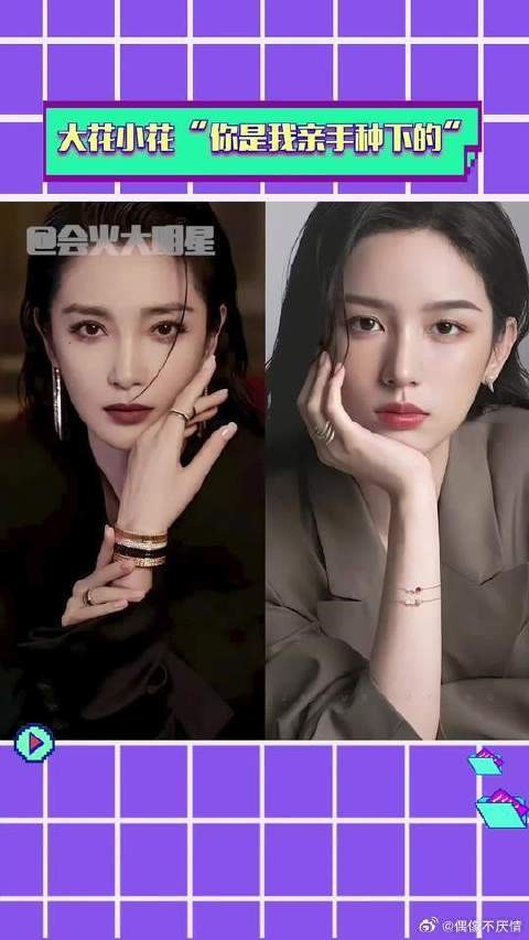 大花与小花 “我亲手选中的玫瑰”