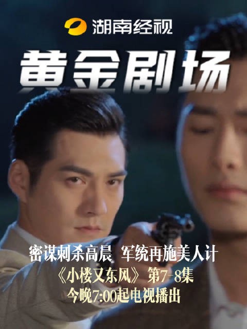 密谋刺杀高晨,军统再施美人计小楼又东风 今晚7:00起电视播出严宽宋轶