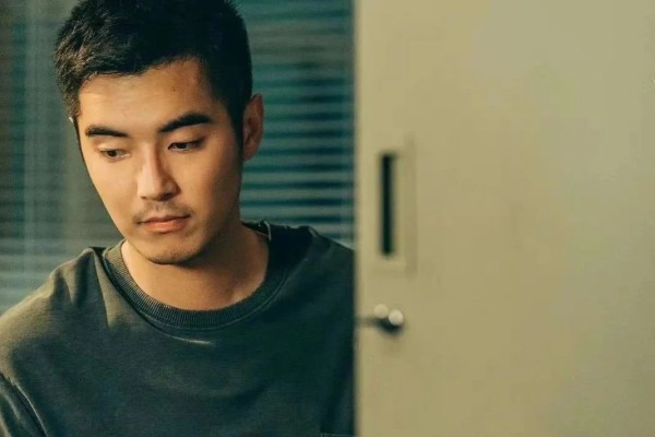 金世佳上岸，黄晓明落榜，明星卷博士为哪般？