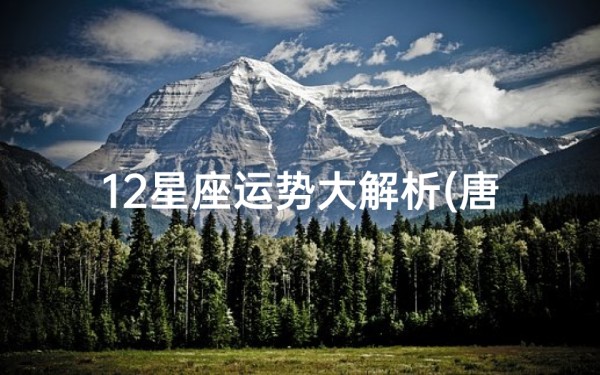 12星座运势大解析(唐立淇2025年12星座运势解析)