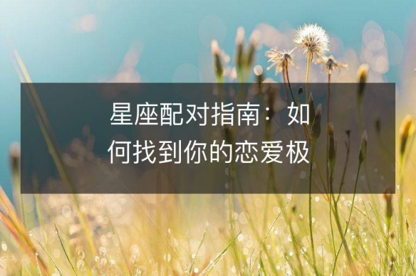 星座配对指南：如何找到你的恋爱极品