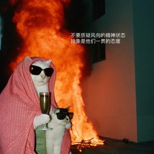 7.Crush是“疯象”?最抽象的「风向星座」恋爱攻略来了！
