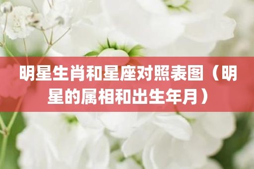 明星生肖和星座对照表图（明星的属相和出生年月）