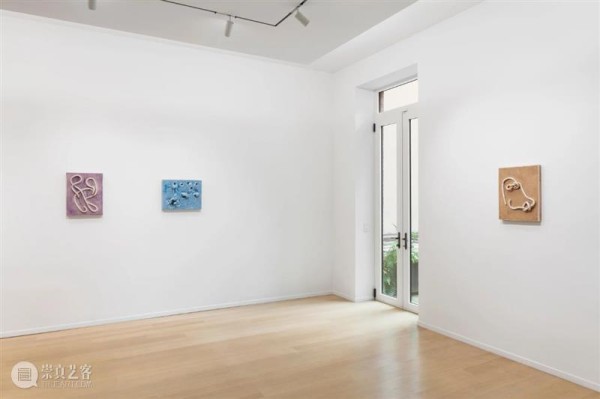 纽约|展览现场|麦浮·佩雷特: Flowers in the Eye 纽约 麦浮 佩雷特 现场 Lee 画廊 空间 瑞士 艺术家 个展 崇真艺客