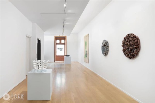 纽约|展览现场|麦浮·佩雷特: Flowers in the Eye 纽约 麦浮 佩雷特 现场 Lee 画廊 空间 瑞士 艺术家 个展 崇真艺客