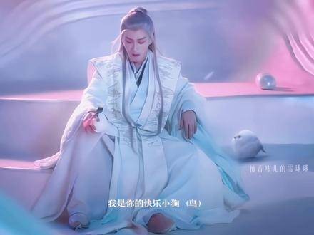 我是你快乐的小狗（鸟）……记得早点回家，别让我等太久