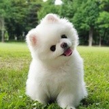 华语女演员奖项实绩表目录（多图/大图/长更）