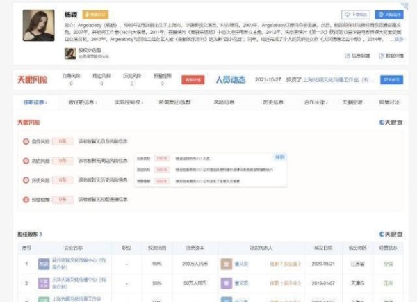 黄晓明商业版图