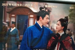 《雁回时》《九重紫》《永夜星河》三部剧为何成爆款?