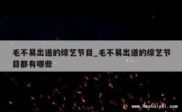 毛不易出道的综艺节目_毛不易出道的综艺节目都有哪些 第1张