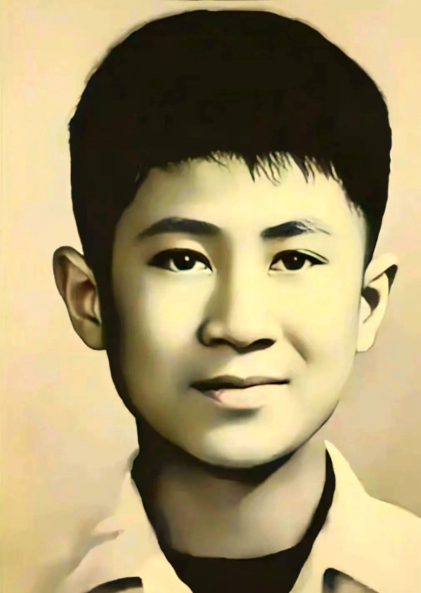 八九十年代荧幕明星的璀璨生涯与经典作品