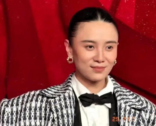宋佳公益活动