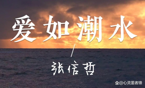 聆听经典，感受深情——张信哲十大经典歌曲推荐