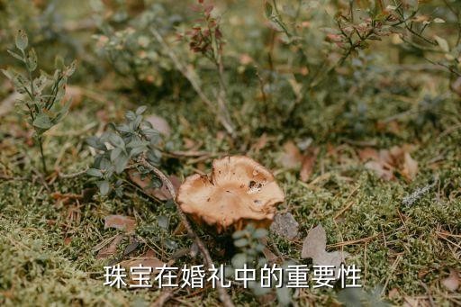 结婚送什么首饰好，婚礼必备：哪些首饰最受新人欢迎？