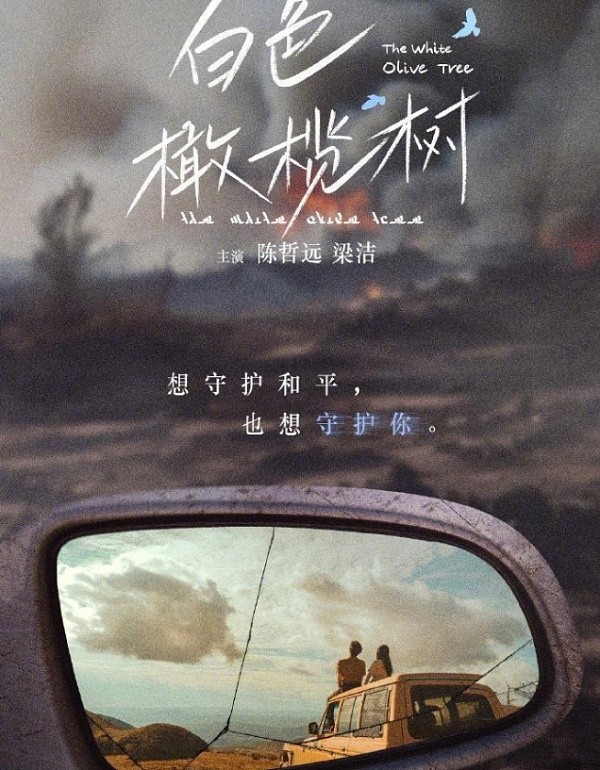 白色橄榄树