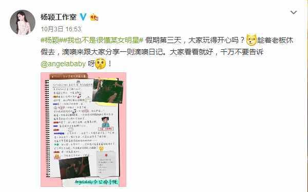 杨颖私人日记公开, 生活吝啬，网友;年收入三亿去哪了