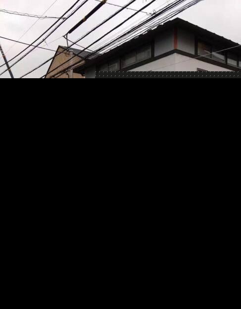 路人偶遇林更新王丽坤约会，赵又廷紧搂圆圆，王丽坤为林更新打伞