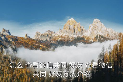 怎么 查看微信共同 好友 查看微信共同 好友方法介绍