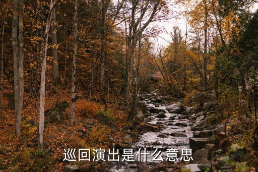 巡回演出是什么意思