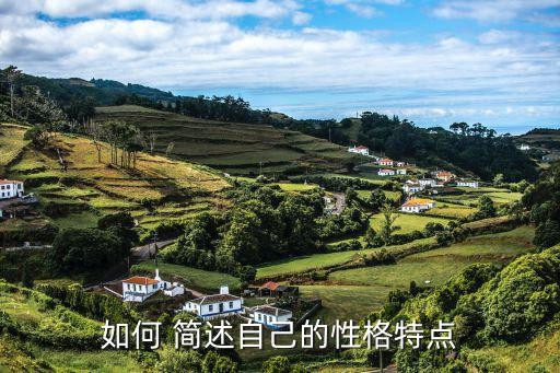 如何 简述自己的性格特点