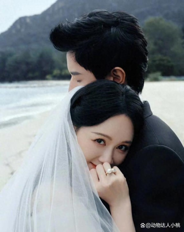 见证爱情！陈乔恩与艾伦甜蜜婚礼感动全场