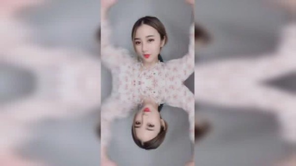 一只77,爱心接力，助力比熊犬回家