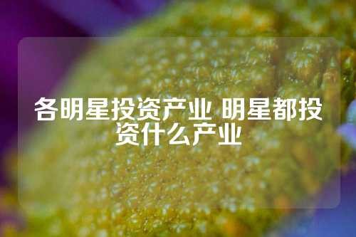 各明星投资产业 明星都投资什么产业